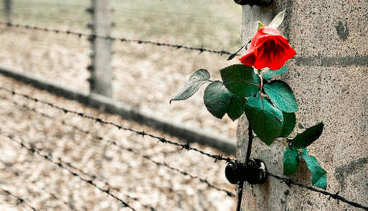 Giorno della memoria, le iniziative di Carpi/1