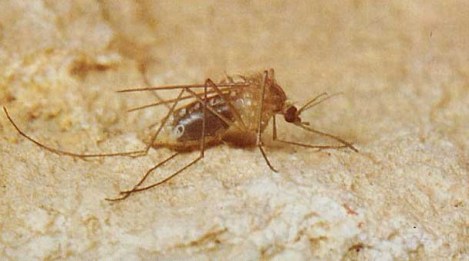 ScreenHunter_98 Aug. 29 11.34