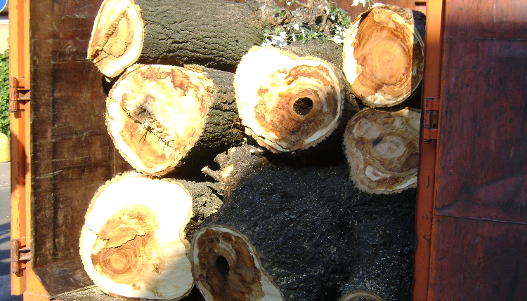 “VIALE MANZONI, POLEMICHE FUORI&nbsp;LUOGO”