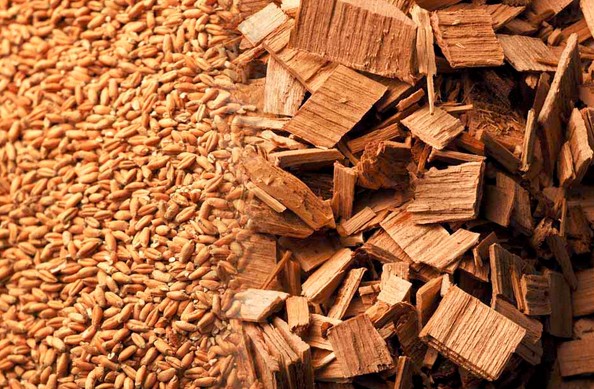 BIOMASSE: Un’intervista al professor Chiaramonti dell’Università di&nbsp;Firenze