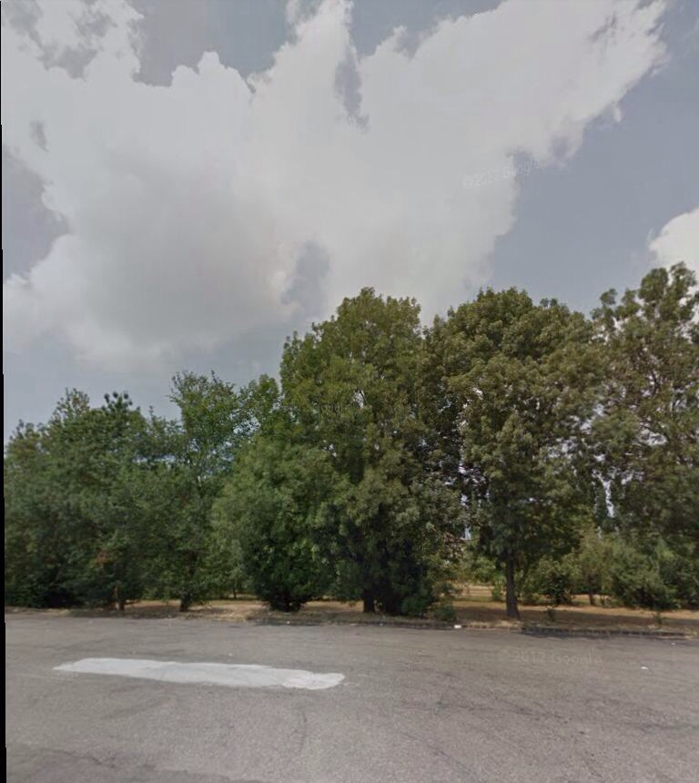 Dalla Gazzetta: “Maxi oasi vicina al centro, la giunta da il via&nbsp;libera”