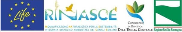 LIFE RINASCE