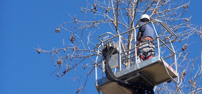 ScreenHunter_609 Feb. 27 12.47