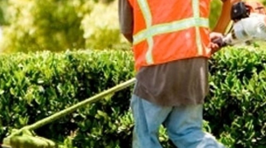 #Parco D-Day a #Fossoli le opere di&nbsp;#manutenzione.