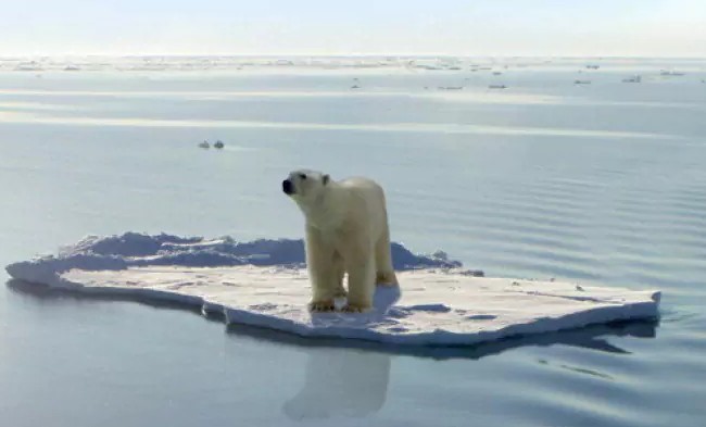 Nasa: la Terra si sta riscaldando a un ritmo mai verificatosi negli ultimi 1000&nbsp;anni