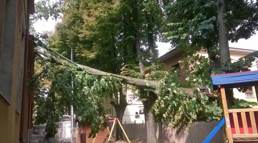 120 mila euro per i danni del fortunale del 6&nbsp;settembre