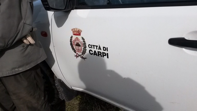 #Carpi: #Lavori alle #alberature in diversi punti della #città