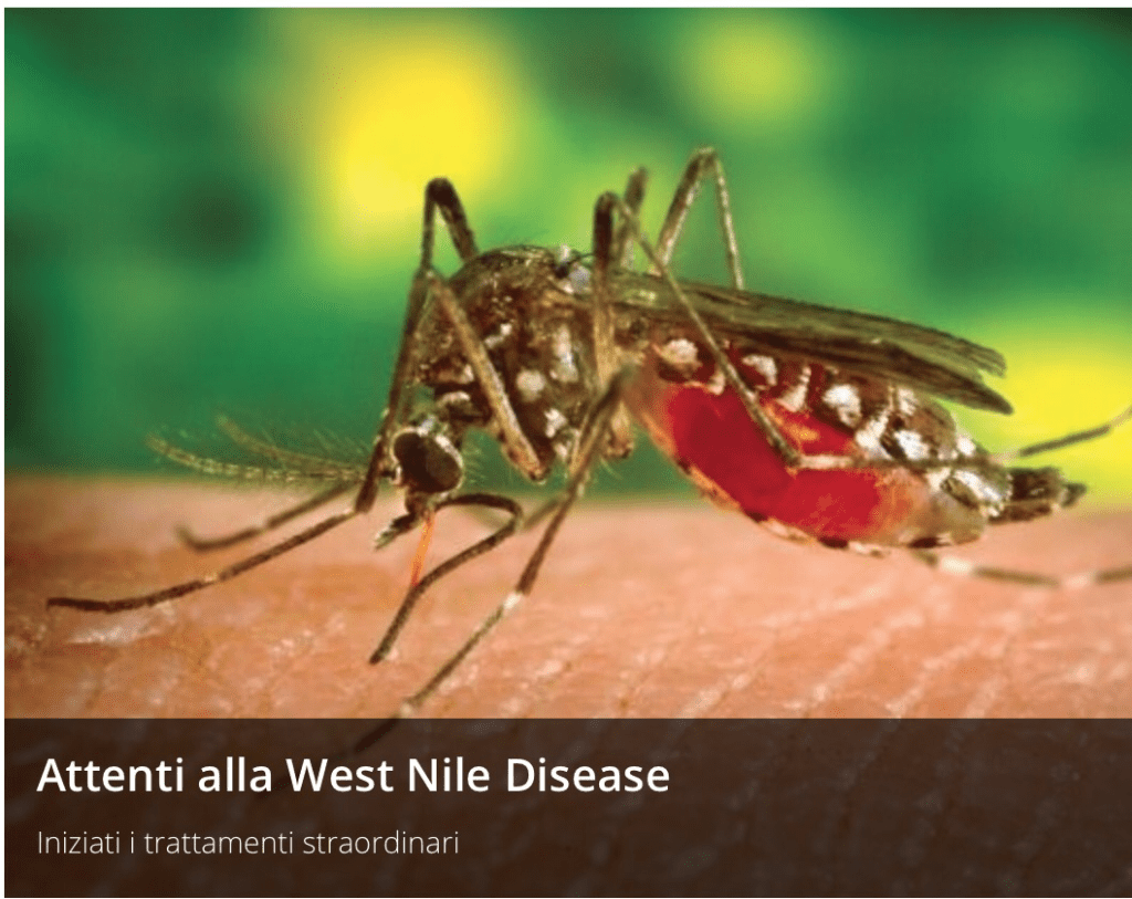 West Nile Disease, trattamenti straordinari nelle aree pubbliche